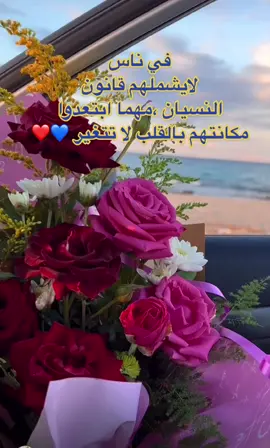 #منشن_للي_تحبه #للغالين_على_قلبي_💙 #fypシ #foryoupage #حالات_واتس #🎶🎵🎼 