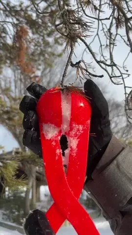 Our snowball makers can be used in so many ways! #fyp #satisfying 