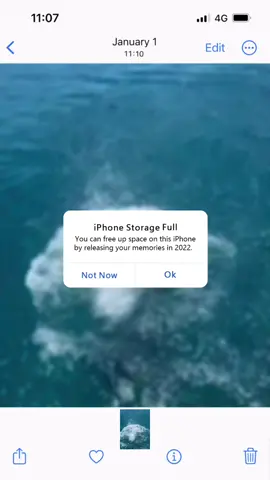 2022 ILY 🤍😭 what a great year 