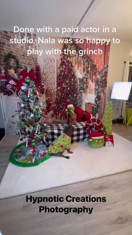 Nala loved playing with the grinch. Be sure to follow @HypnoticCreationsPhotography to see more #thisisnalasworld #fyp #TheRealPussinBoots #grinch 
