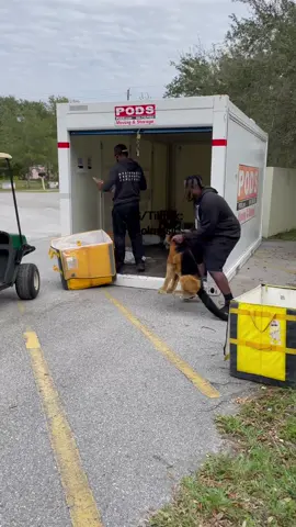 Fake dog bark prank on UPS man 😂😂😂😂 #foryou 