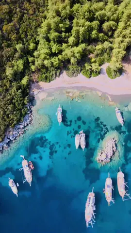 Bodrum is world renowned as a paradise for tourists featuring charming neighbourhoods, various ancient sites for sightseeing, exquisite bays, turquoise sea, mild Mediterranean climate and vibrant night life. What is the weather in Bodrum like by season you wonder?  Well, all seasons are intertwined in Bodrum, but the winter. What locals call the winter, is like autumn mostly. There may be cold days, of course, However, it is mostly partly cloudy skies with cool temperatures that you will see in the coldest days. I would rather say that there are only three seasons in Bodrum, and winter is not one of them. High Summer Temperatures Limit the Activities 🏖 Even the most pleasant weather in Bodrum may limit your vacation activities. The most famous song about Bodrum says “all I needed was a little bit of sea, and a little bit of sleep”. That is la dolce vita! For spending all day on a beach, summers are the best time of the year for uninterrupted sun. What if you want to do more during your Bodrum vacation? There are countless historical sites and natural wonders in the Aegean coast of Turkey, waiting to be explored. Explore Türkiye like never before 🇹🇷  Contact us for all your travel and tours in Türkiye ✈️  www.allthingsturkish.net  • • • Follow @all_things_turkish  #bodrum #bodrumbodrum #bodrumturkey #beach #gümbet #gümüşlük #beautifuldestinations #turkishriviera #ageansea #mediterranean #Summer #winter #vacation #amazingplaces #travelturkey #türkiye #turkiye #travel #traveling #instatravel #travelblog #travelgram #traveling #travelgram #instatravel #travelawesome #tiktokturkiye #luxurytravel #viptravel #travelagent #travelwithus #allthingsturkish 