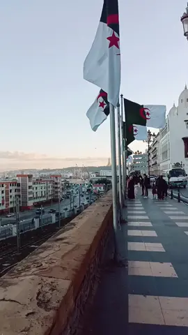 #شوارع_العاصمة_الجزائرية🇩🇿 #ولاد_العاصمة_ڨاع_تبانو_هنا❤️ #ولاد_البهجة_بانو_كامل_عندي  كل واحد يخبرناا وين ساكن في آلجي ❤️🇩🇿