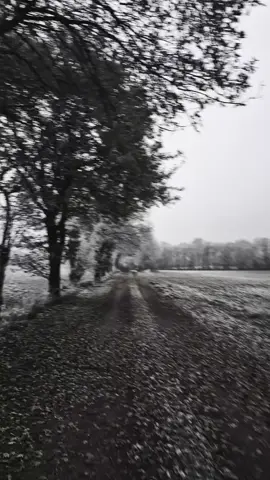 miłość #zostannadluzej #smutek #cytaty #teskniezatobą 