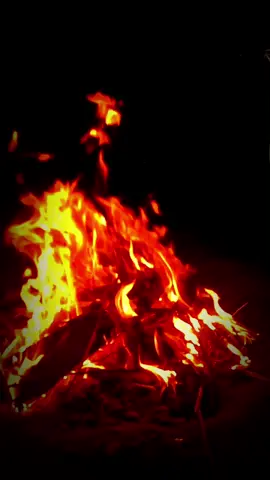 في النهاية ، أدركنا بأن البداية قد خدعتنا. ' #حطب_ونار🔥 #ستوريات #تصويري_احترافي #البصرة #طبخ_على_الحطب 