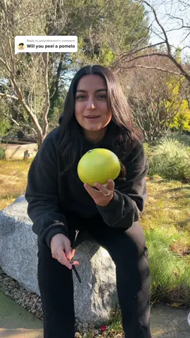 Replying to @jaelynthieman travel edition: pomelo #LearnOnTikTok #fruit #pomelo #foodhacks #wlw #couple #lgbt #storytime #story 