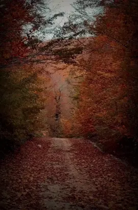 أتقي شر من احسنت اليه ..