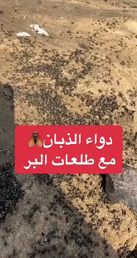 #محب_الخير#سند_السلمي#قصيد#ابيات#طلعات #البر #مكشات#كشتات#مكشاتي#شبة_نار#الشتاء#ذبان  