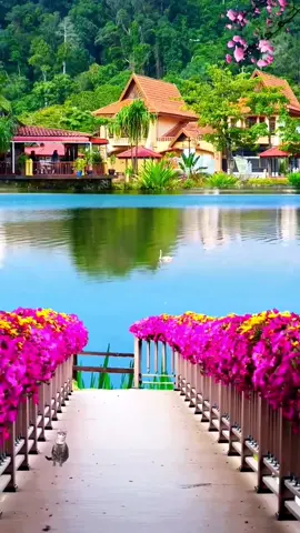 The natural beauty is beyond compare.#scenery #travel 