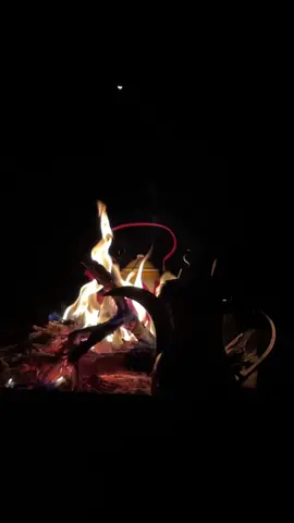 ودي اقضي العمر وأياك .. #شيله #بدون_موسيقى #ياراسي_راسي #شبه #شبه_نار #شتاء #برد #حب #شوق #اكسبلور #explore #fyp #viral #coffee #your_coffee #دله #كشته #بر 