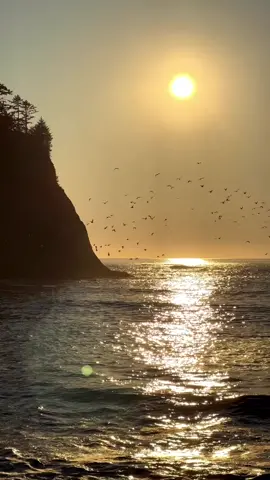 beautiful sunset 🌄 #nature #video #wallpapervideo #4kvideo #fypシ゚viral #photography #8kvideo #dronevideo #foryou 