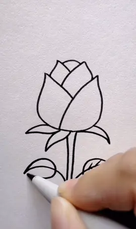 cr: pintrest . smg bermanfaat🦋 #drawflowers #drawing #gambarbunga #easydraw #tutor  #mengambar 