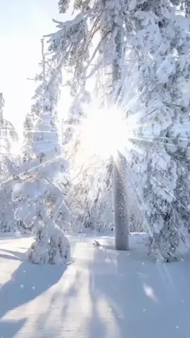 #hermosodia #quediostebendiga#parati 