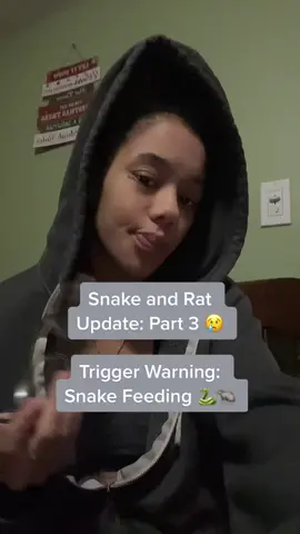 That was definitely a depressing way to wake up and come downstairs…Good Morning 😭 #fy #fypシ #fyp #foryou #foryoupage #part3 #update #snakes #updateforyou #snake #snaketok #reptitlesoftiktok #snakefeeding #livefeeding #triggerwarning #tw #rip #ihopethisreachestherightaudience #anyadvice #rat #anyadviceiswelcome #ballpython #feederrat #piedballpython #OhNo  #gonewrong #finalpart  #feedinggonewrong  