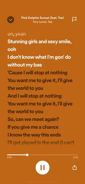 Pink Dolphin Sunset- Tory Lanez #4u #fypシ #foryou #foryoupage #18 