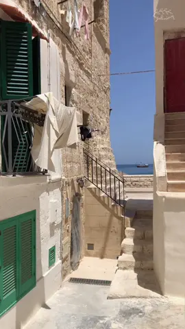 🚤 The quiet beauty of Monopoli. If you come across Antonio at ‘Porto Vecchio’ make sure you stop by, he will dedicate you a personalized song and maybe even give you one of his albums as a gift.  #summerinitaly #italiansummer #cmbynaesthetic #italyaesthetic #pugliaitaly #monopoliitaly 