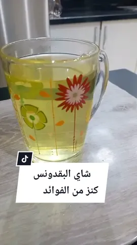 شاي البقدونس. كنز من الفوائد!  لغسيل الكليتين و تنظيف الجسم من السموم. مفيد للجهاز التنفسي و الهضمي، يساعد على التخلص من احتباس السوائل في الجسم،ممتاز للبشرة و الشعر .... #viral #morocco #healthy #fypシ #foryou #fypシ #persil #اكل_صحي #إكسبلورر #اكسبلورexplore #شاي #بقدونس #شاي_البقدونس #حصى_الكلي #ديتوكس #detox 