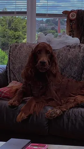 My angel #CapCut #fyp 