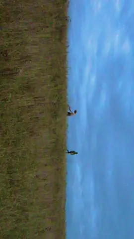 it’s so satisfying to film these #cinematographer #director #filmmaker #darkacademia #mauraders #narnia #cinematic #writertok #BookTok 