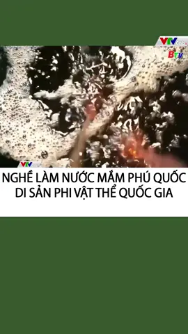 Nghề làm nước mắm Phú Quốc được công nhận là Di sản phi vật thể quốc gia#vtvcabtintuc#vtvcab#tiktoknews