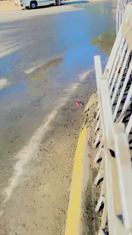 Pyar binaaaaa#geeee lay Pyar binaaa#InspiredAwesomeLife #video #viral #viral #video #viral #video ##viral #video ##InspiredAwesomeLife ##InspiredAwesomeLife #SpotifyDhoomDhaam #viral #video #video #viral 