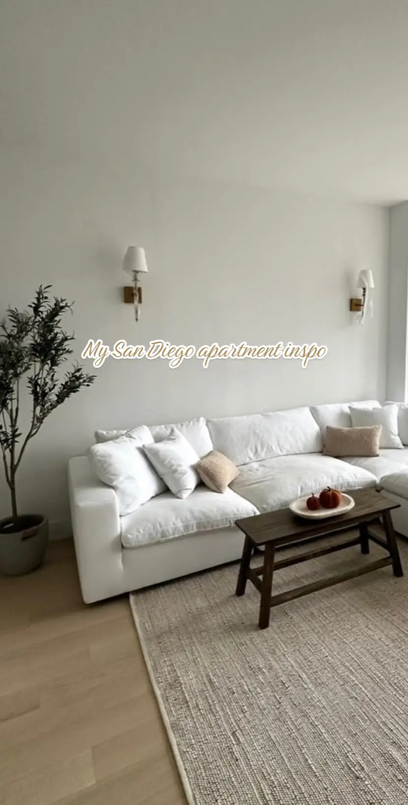 cant wait to move into my dream sanctuary 🥰 #apartmentdecor #interiordecor #sandiego 
