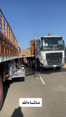 ماشاءالله#فلفو_وارد_الزاهد #الزاهد 