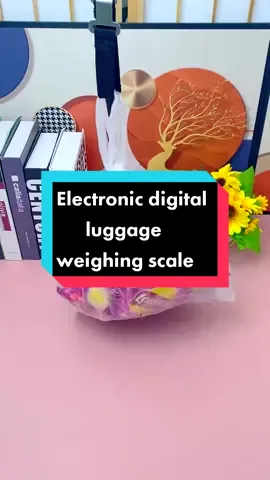 Electronic digital luggage weighing scale 