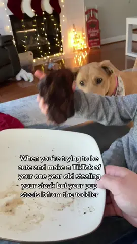 His look at the end 🤣👀 #dogstiktok #dogstealsfood #tiktokgonewrong #fypシ 