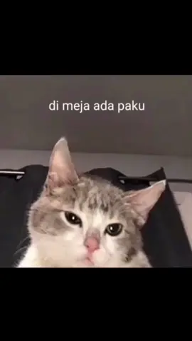 Ga ad yg buatin, jdi buat sndri aj 😭🥹🤣 #CapCut 