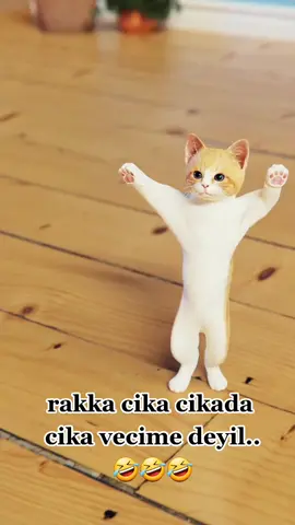 #keşfet #fyp #awk_meleyi_55_ 