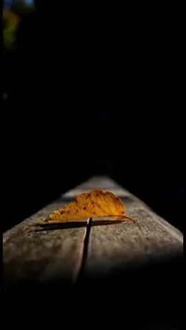 cover lirik-lagu hanya Satu Persinggahan#liriklagu #story_wa #sadvibes🥀 #fypシ 