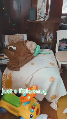 he's a bit cold from the snow ❄️ #labradoodles #labradoodlesoftiktok 