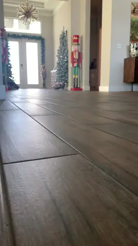 It’s the stop for me. 😂🎄🐾❤️ #paralyzeddog #specialneedsdog #disableddog #rescuedog #dogsoftiktok #christmasdogsoftiktok #happydog #christmasdogsoftiktok #fyp #fypシ 