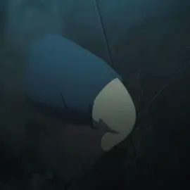 I LOVE BEAM VA #chainsawman #beamchainsawman #beamchainsawmanedit #fypシ #zyxcba #chainsawmanedit 