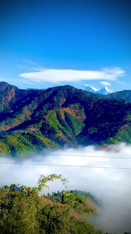कोठा बाटै देखिने सेताम्मै हिमाल माथी घाम अनि तल बादल साच्चै आहा स्वर्ग भन्दा कम छैन मेरो गाउँ मेरो ठाउँ सुन्दर अर्घाखाँची ❤️🌺 #beautifulview #❤️❤️arghakhanchi_muser🦋🦋 