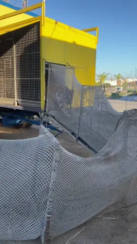 🐅🐅🐅🐅#tiger #circus #circo #leon 