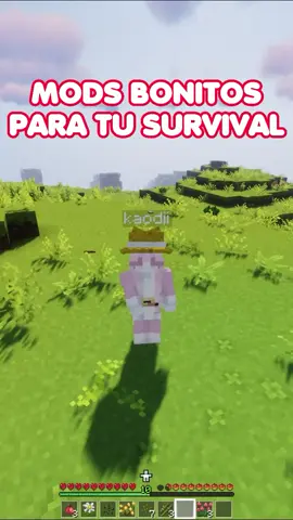 mods bonitos 🐻 #Minecraft #minecraftbuilding #cute #cottagecore #aesthetic #survival #minecraftmods #minecraftmemes #mods #modsdeminecraft #hypixel #universocraft #hycraft 