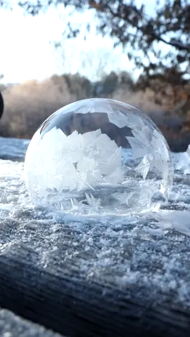 How do you say “bubble” in your language?❄️☃️ 🎵:River -@Ellie Goulding🎶 #frozenbubble #frozen #winterishere #christmas2022 