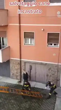 #salvataggio #salvataggioanimali #cane #incastrato #ringhiera #scala #italiana #vigilidelfuoco #vigilidelfuoco_officialpage #115 #rescue #dog #soccorso #aiuto #michaelemergency #fyp #capcut #foryou #foryoupage #fypシ #tiktok #viral #edificio #pompieri #bomberos #firefhigter #firebrigade 