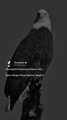 Takip etmeyi unutmayın 🙏🌼 #agırsözler #sertsözler #kesfeteyizzzzzzzzzzzzzzzzz #kralsözler #raconsözler #kuralsz1adam 