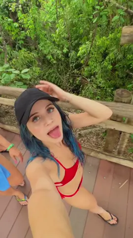 Obrigada pelos 6m aqui 🥰🥰 #pernumbradjonga #pordosol @djongador  