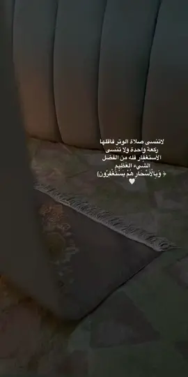 الوتر #اكسبلورexplor #الوتر_جنة_القلوب #الوتر_والإستغفار_بالأسحار #viralvideos #fypシ #اوتروا🌹 #قيام_الليل #سورة_البقرة #الاستغفار_بالاسحار #يارب_دعوتك_فأستجب_لي_دعائي 