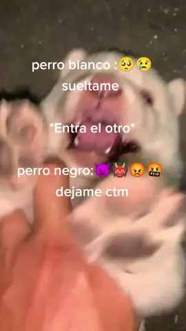 #perro #wazaaaaaaaaaaaaa👻👻 #CapCut 
