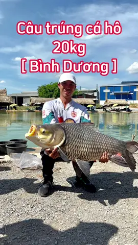 Câu trúng cá Hô khủng tại Bình Dương #cuongbavuong #fishing #câucá #giảitrí #thinhhanh #chuyenlathegioi 