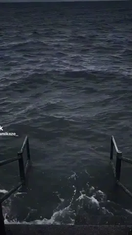 một hoạ sĩ nổi tiếng đã từng nói#xuhuong #thanhpahm #daoly #hoasi #foryoupage 