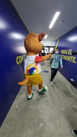 ¡Tranquilo, Pibe! Nosotros también nos pondríamos así después de conocer a Messi, Di María y cia. 🤪 Relaxa, Pibe! Nós também ficaríamos assim depois de conhecer Messi, Di Maria e cia 🤩 #tbt CONMEBOL #CopaAmérica 2021 #VibraElContinente #VibraOContinente
