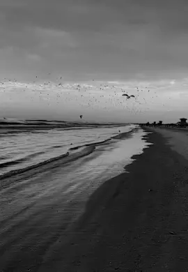 ضع نصاً يناسب شعورك هذه الفتره؟ 🖤#تصويري📸 #ستوريات #حزن #fyp 