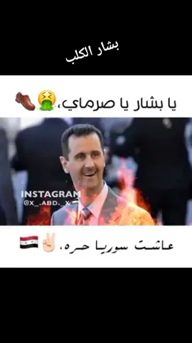 عاشت  الثوره حراه