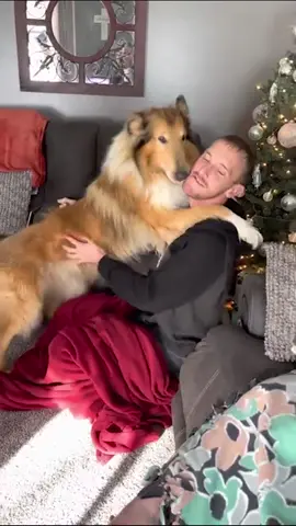 This soldier surprising his pup for the holidays is an instant day brightener! 💕🎁🥺 (Via -  Cindy G.) #DogTok #PetTok #Surprises #Puppies #christmas